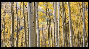 Elevate Your Walls: The Artful Impact of Triptych Wall Art
