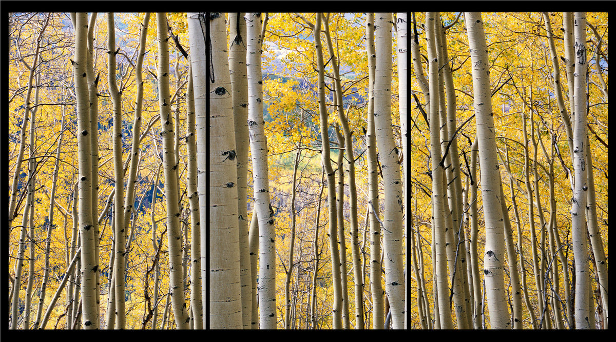 Elevate Your Walls: The Artful Impact of Triptych Wall Art – John ...
