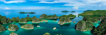 Raja Ampat : The Last Paradise