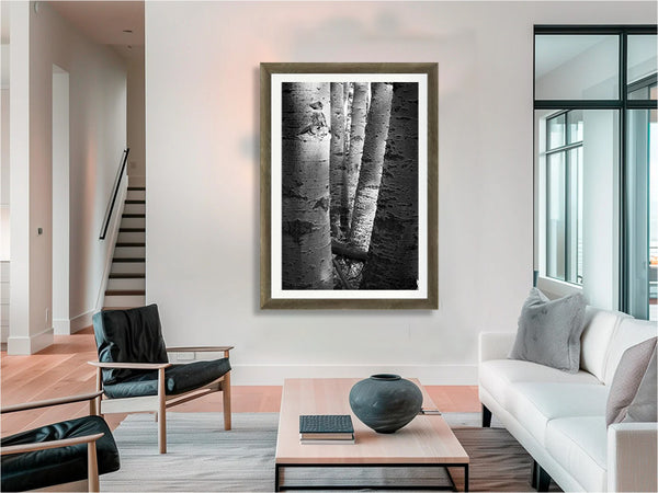 Aspen Trunks