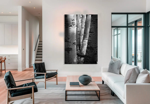 Aspen Trunks