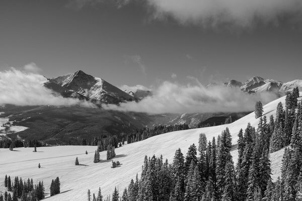 Back Bowls B&W