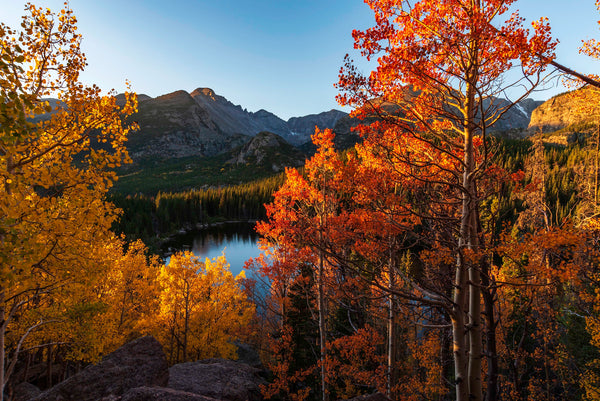 Bear Lake Through the Trees