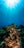 Coral Cathedral