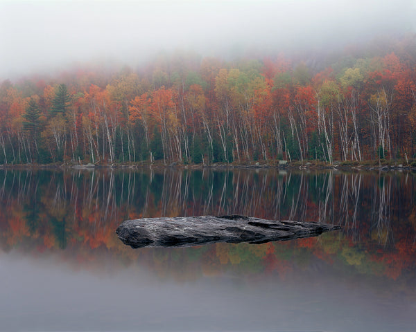 Mist of Tranquility