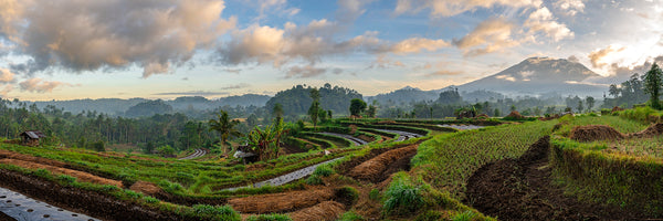 Ancient Terraces of Bali