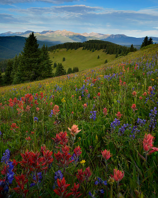 Shrine Pass