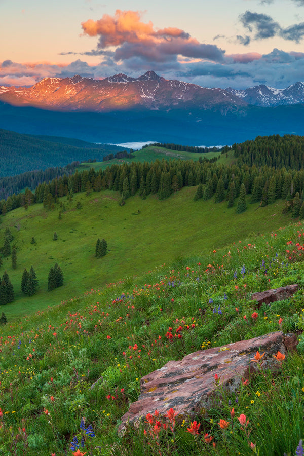 Shrine Pass in Summer