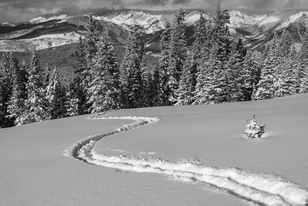 Ski Tracks