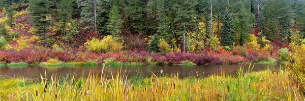 Snake River Palette