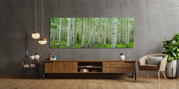 Summer Aspen