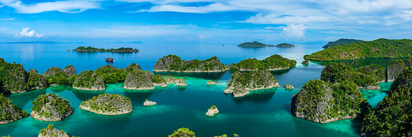 The Last Paradise